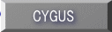 CYGUS
